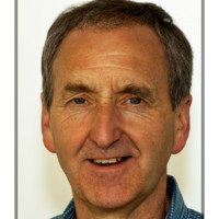 Roger Bektash avatar image