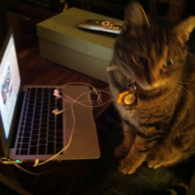 Mary Taylor avatar image