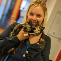 Beth Grimes avatar image