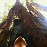 Greg Steichen avatar image