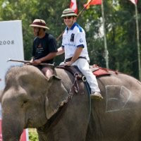 Mason Florence avatar image