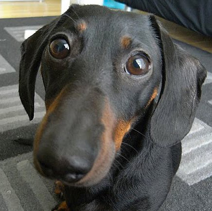 Jimmy Wu avatar image