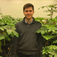 Andrew Blume avatar image