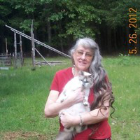 Susan Steig avatar image