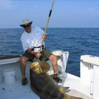 Steve Klemmer avatar image