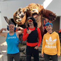 Dan Maxwell avatar image