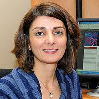 Parastoo Azadi avatar image