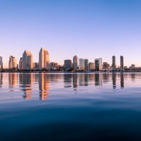 Alexander Cohen avatar image