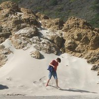 Jo Lewis avatar image