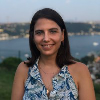 Dilara Celikkanat avatar image