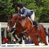 Jacqueline Hawes avatar image