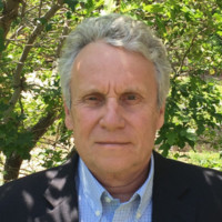 David Dolezal avatar image