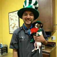 Nobuki Stobaeus avatar image