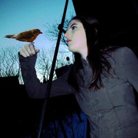 Rhiannon Catalyst avatar image