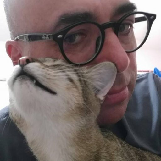 Eyal Hareuveni avatar image