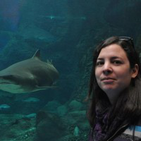 Ella Carmon avatar image