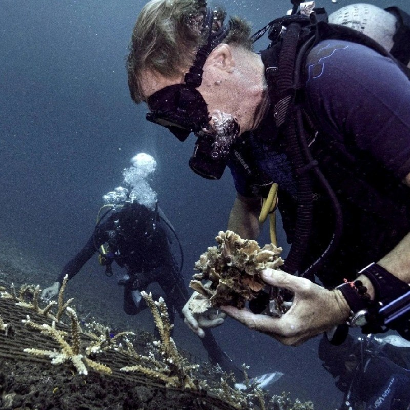 Rolf Voorhuis avatar image