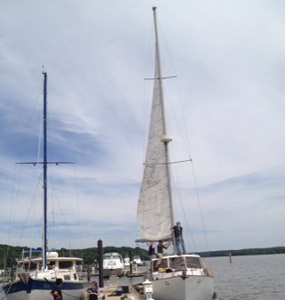 Nathan Cooper avatar image