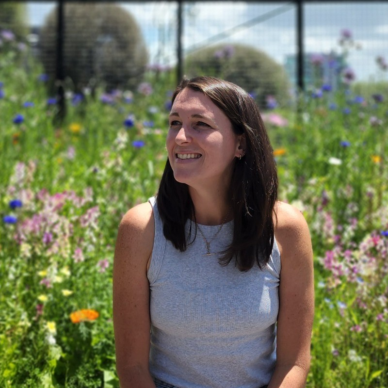 Katie Curd avatar image