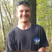 David Lurie avatar image