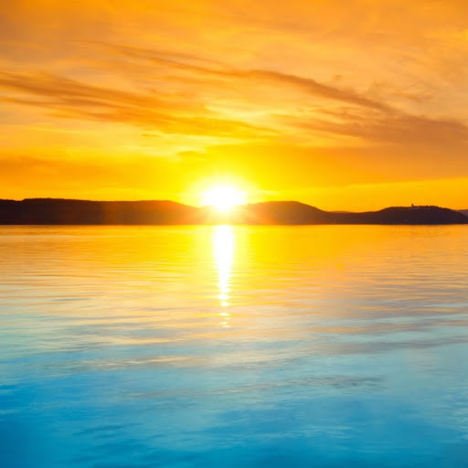 Steve Robbins avatar image