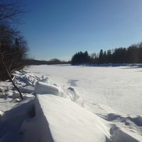 Darren Webber avatar image