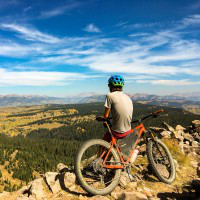 Brendan Trimboli avatar image