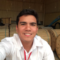 Bruno Cardoso avatar image