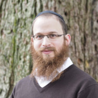 Meir Shmotkin avatar image