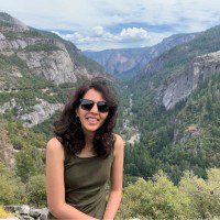 Mansha Rathore avatar image