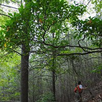 Jean Lorber avatar image