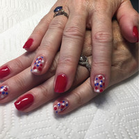 Diane Searle avatar image