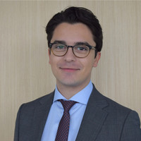 Borna Pirzadeh avatar image