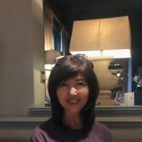 Cindy Han avatar image