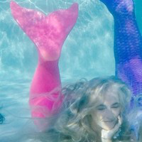 Estelle Arlaud avatar image