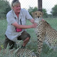 Tessa Clarke avatar image