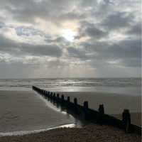 Adrian Taylor avatar image