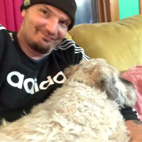 John Price avatar image