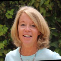 Sue Carmody avatar image