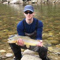 Shane Swiderek avatar image