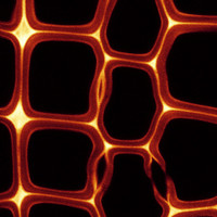 Lloyd Donaldson avatar image