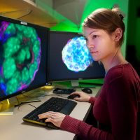 Dannielle Engle avatar image