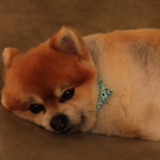 Felipe Cabral avatar image