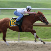 Marcus Assia avatar image