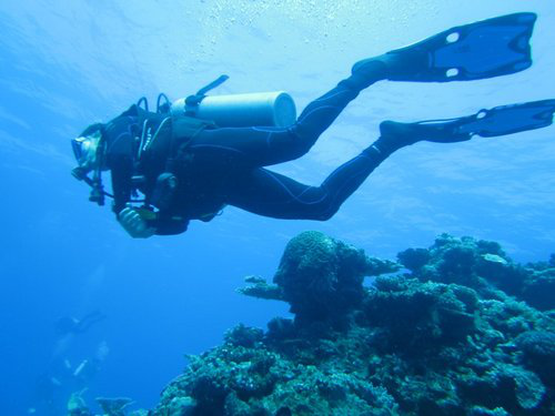 Jay Gross avatar image