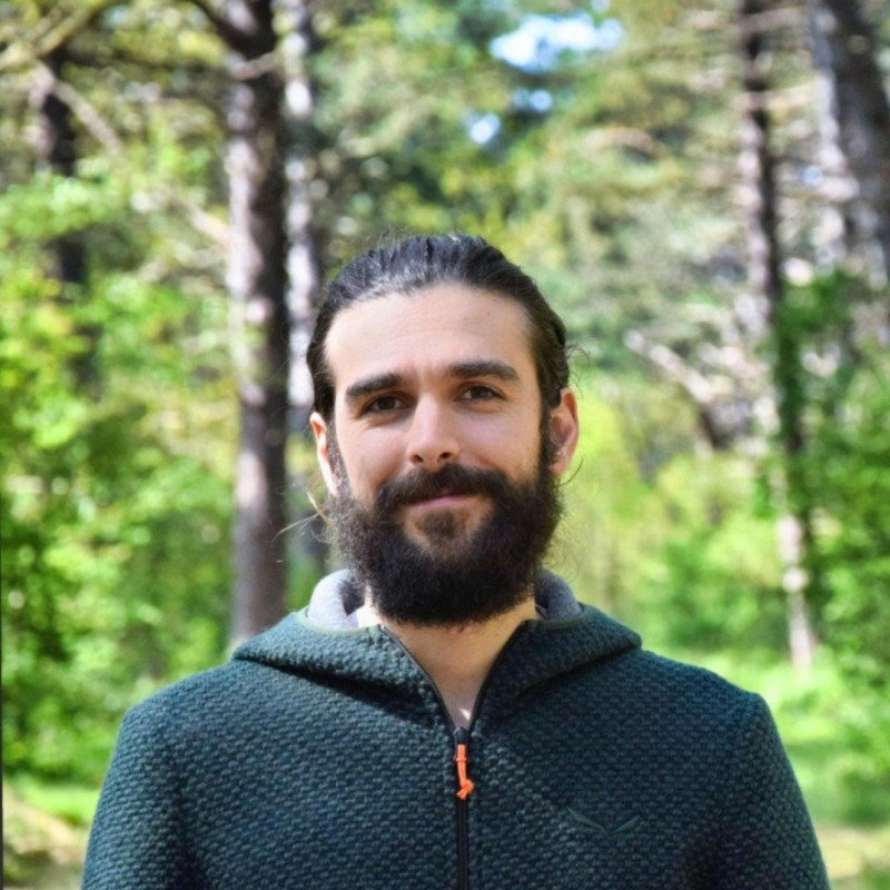 Andrea Nodari avatar image