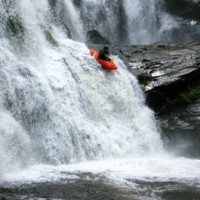 David Bachor avatar image