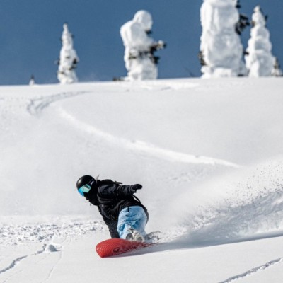 Hillary Van Hauer avatar image