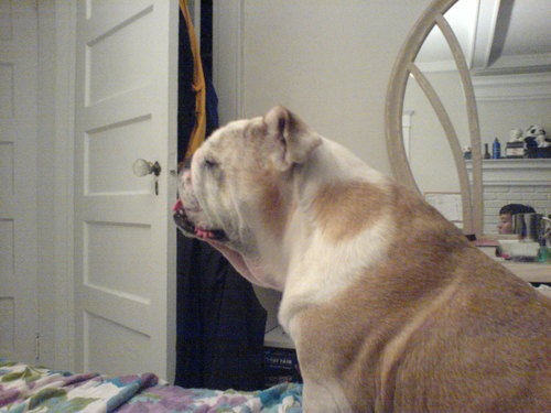 Erik Lam avatar image