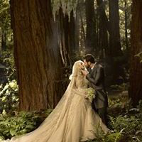 Sean Parker avatar image